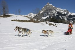 Kandersteg 2011