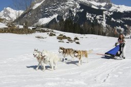 Kandersteg 2011