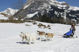 Kandersteg 2011