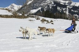 Kandersteg 2011