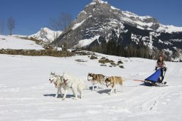 Kandersteg 2011