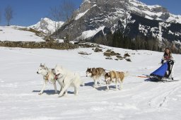 Kandersteg 2011