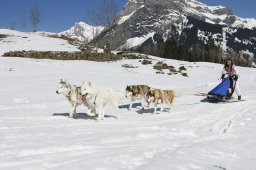 Kandersteg 2011