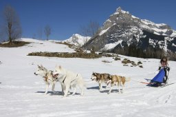 Kandersteg 2011