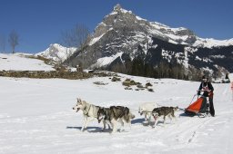 Kandersteg 2011