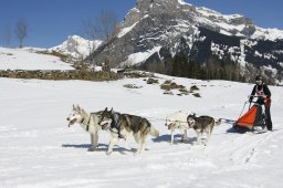 Kandersteg 2011