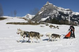 Kandersteg 2011