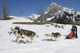 Kandersteg 2011