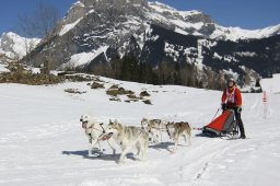 Kandersteg 2011