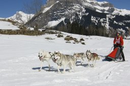 Kandersteg 2011