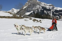 Kandersteg 2011