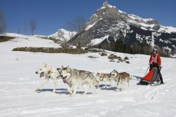 Kandersteg 2011