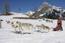 Kandersteg 2011