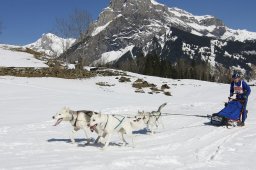 Kandersteg 2011