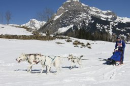 Kandersteg 2011