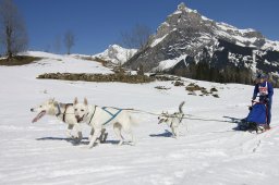 Kandersteg 2011