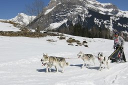 Kandersteg 2011