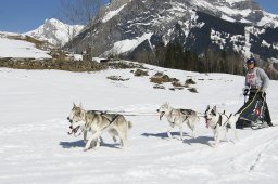 Kandersteg 2011