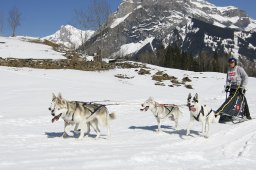 Kandersteg 2011