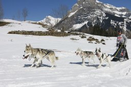 Kandersteg 2011