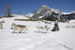 Kandersteg 2011