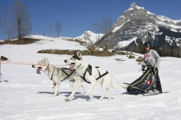 Kandersteg 2011