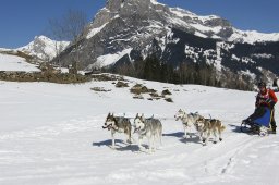 Kandersteg 2011