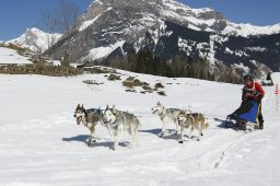 Kandersteg 2011