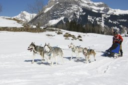 Kandersteg 2011