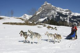 Kandersteg 2011