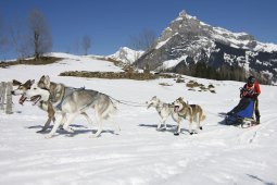 Kandersteg 2011