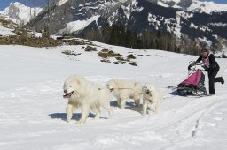 Kandersteg 2011