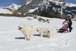 Kandersteg 2011