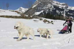 Kandersteg 2011