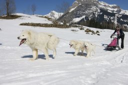 Kandersteg 2011