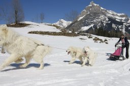 Kandersteg 2011