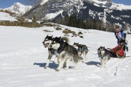 Kandersteg 2011