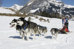 Kandersteg 2011