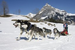 Kandersteg 2011