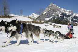 Kandersteg 2011