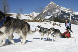 Kandersteg 2011