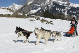 Kandersteg 2011