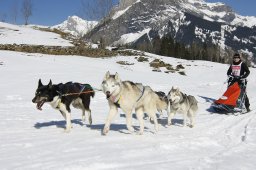 Kandersteg 2011