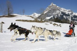 Kandersteg 2011