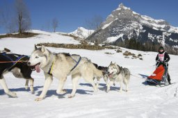 Kandersteg 2011