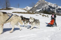 Kandersteg 2011