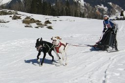 Kandersteg 2011