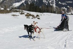 Kandersteg 2011