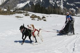 Kandersteg 2011