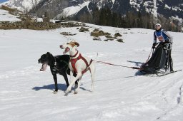 Kandersteg 2011